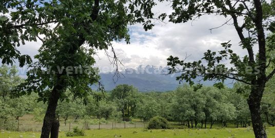 PRADERAS DE LAS LOMAS