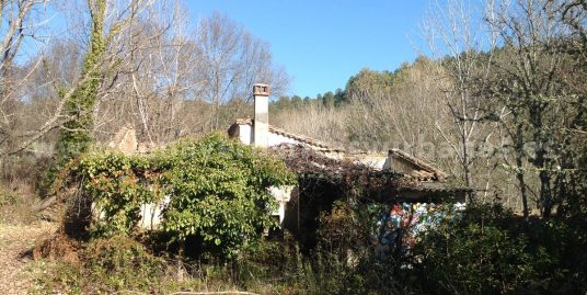 LAS AGUAS DE CASTREJÓN