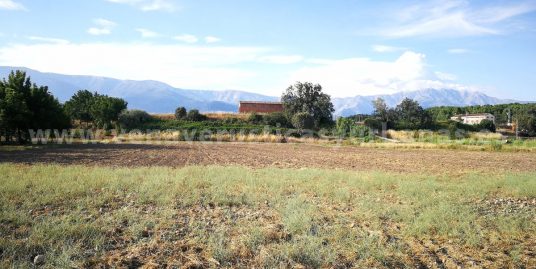 EL ALMANZOR DESDE LA VEGA