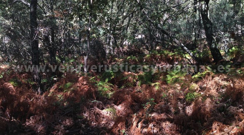 FF011900-9_WEB