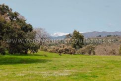 480efdc0-df23-4c1f-a0d2-43304d2ea13f_result