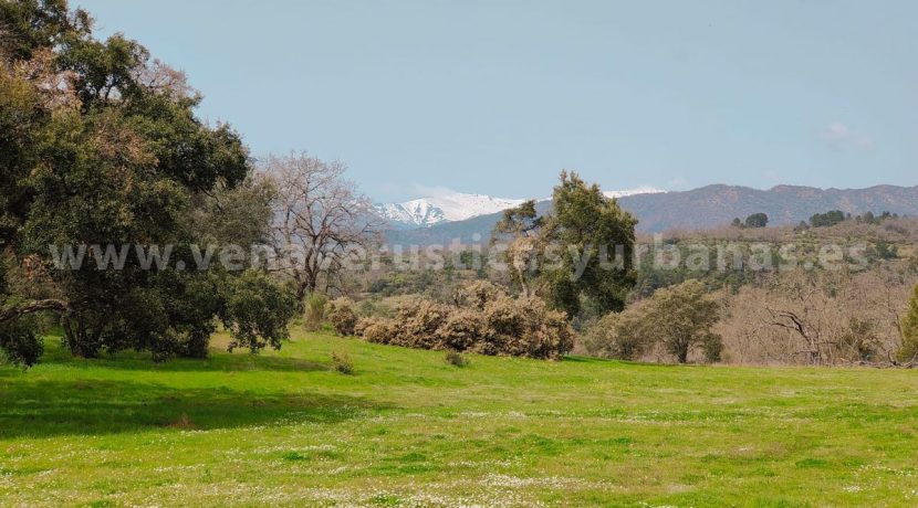 480efdc0-df23-4c1f-a0d2-43304d2ea13f_result