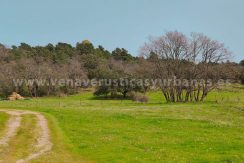 68a2a8eb-25a6-450d-8072-2dc3bfd54b30_result