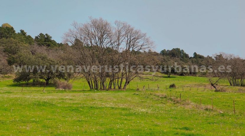 7a907eed-0d9a-40f7-be27-0d3cc42549bf_result