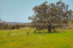 b84672c0-1e02-4abb-8ca6-f072304c7610_result