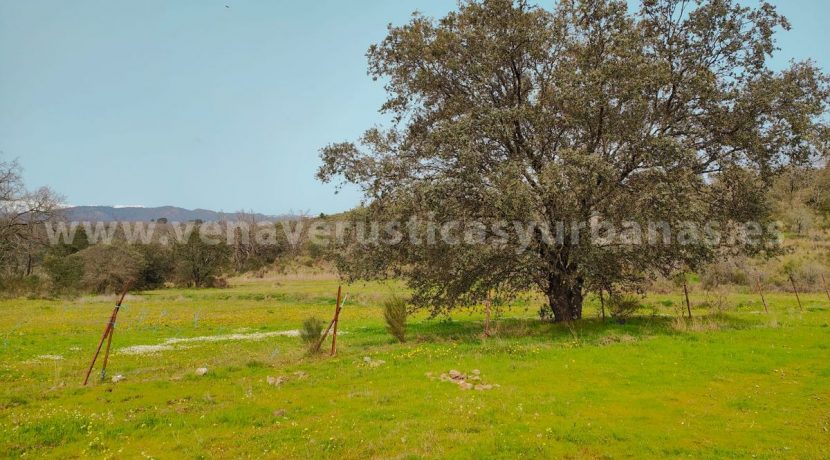 b84672c0-1e02-4abb-8ca6-f072304c7610_result