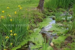 FC020707-10_WEB