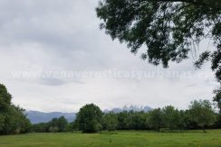 FC020707-12_WEB