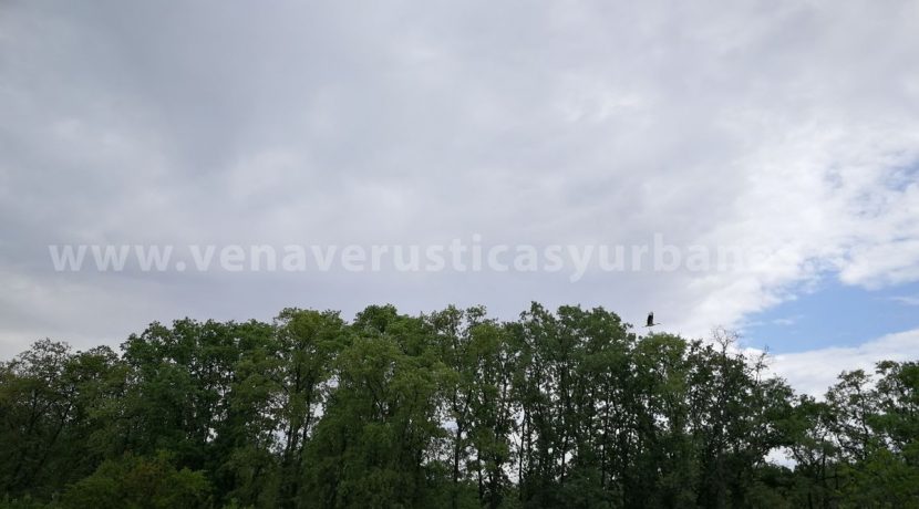 sdr