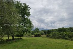 FC020707-3_WEB