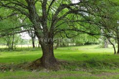 FC020707-4_WEB