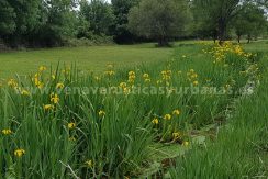 FC020707-8_WEB