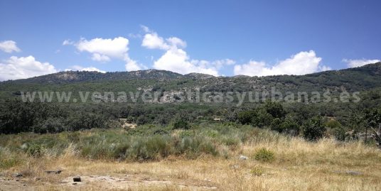 EN EL CAMINO DE LA SIERRA