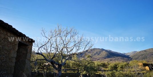 BANCALES DE LA LAGUNA