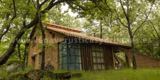 EN EL SOSIEGO DEL ROBLEDAL