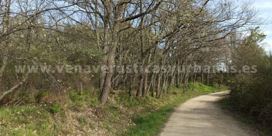 ROBLEDAL DE PRADO REDONDO