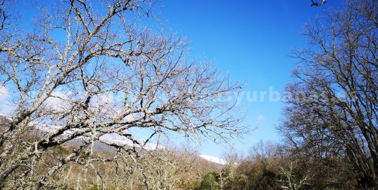 EN UN VALLE ESCONDIDO