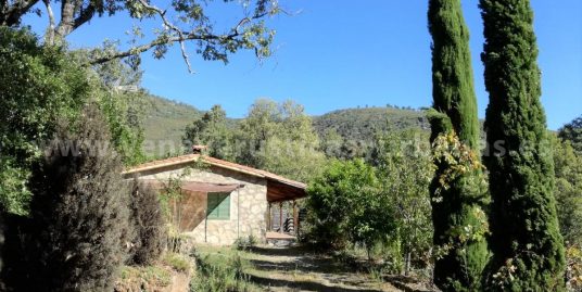 MI REFUGIO ENTRE ALISOS