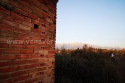 IMG_20220127_181009_result