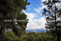 IMG_20220925_110305_resultado