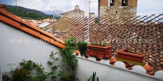 TERRACITA MIRANDO A GREDOS