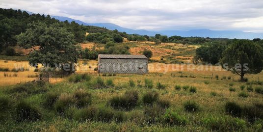 HUERTA DE VALLERROSA