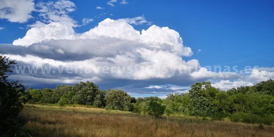 EL VERDOR DE LOS PRADOS