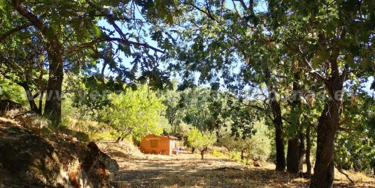 LA HUERTA DE FUENTE MORENO