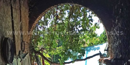 HUERTA DEL MEDIODÍA