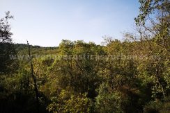 IMG_20221029_104613_result