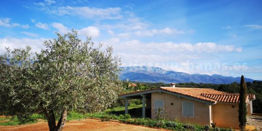 HACIENDA DEL ALMANZOR