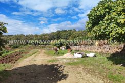 IMG_20221111_113616_resultado