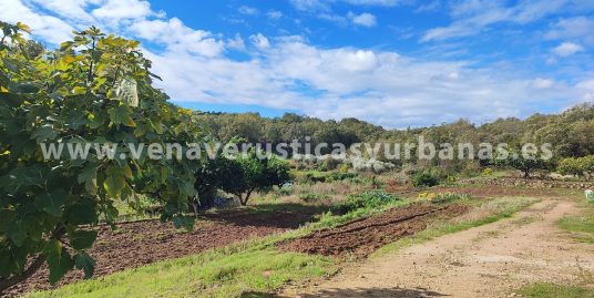 HUERTA MIRANDO AL VALLE
