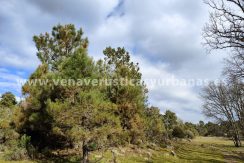 0785303f-472a-4deb-8308-9a571f7f5b97_resultado