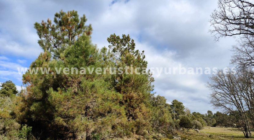 0785303f-472a-4deb-8308-9a571f7f5b97_resultado