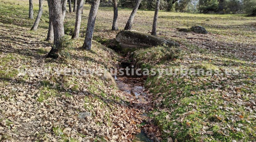 2b842e50-c935-44fc-b097-1b6441f0963d_resultado