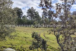 3bb43749-ab10-4c58-afbc-ee37de8f754c_resultado