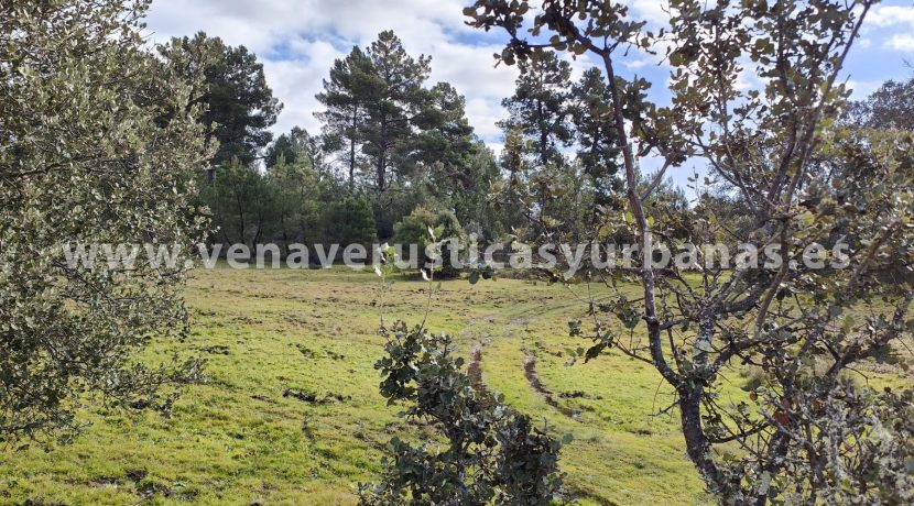 3bb43749-ab10-4c58-afbc-ee37de8f754c_resultado