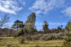 7e294514-a23f-4d52-8b0f-82cbb7c3e454_resultado