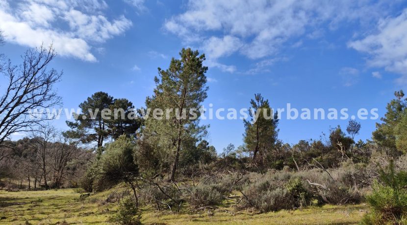 7e294514-a23f-4d52-8b0f-82cbb7c3e454_resultado