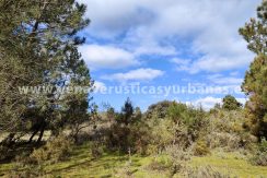 9723576a-3fac-4d11-8266-d184cc9c18ef_resultado