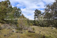 d457df54-d901-4ae9-bfee-db7aa8739de5_resultado