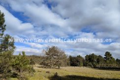 e41ddcc7-6cc1-4e6e-b8d7-8adbf39c98dd_resultado