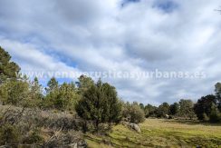 eff3c3df-ce3d-4cd6-bf48-6d07745ea288_resultado