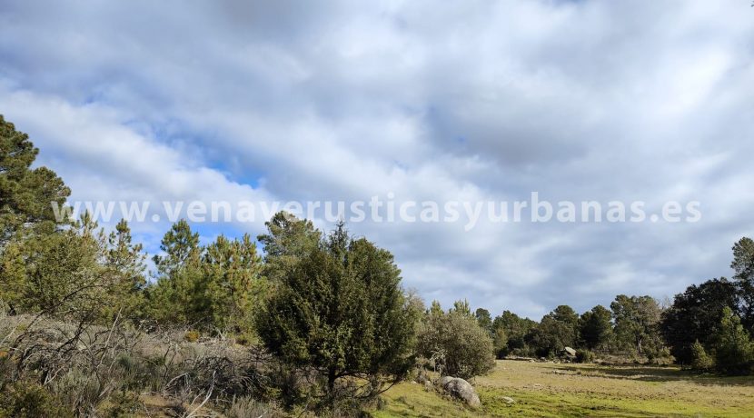 eff3c3df-ce3d-4cd6-bf48-6d07745ea288_resultado