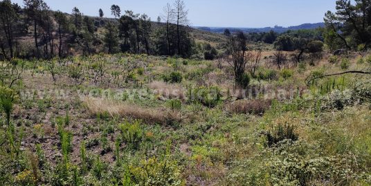 VALLECILLO ENTRE LOMAS