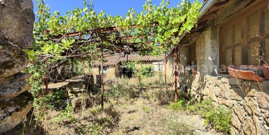 ENRAMADAS DEL RECUERDO