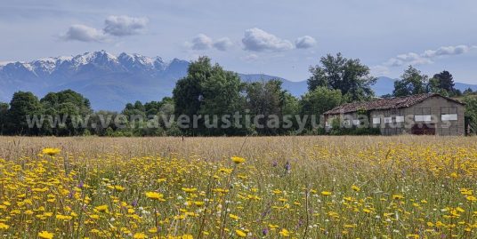 A LA RIBERA DEL ARROYO