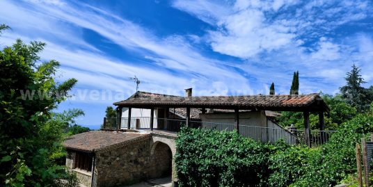 BAJO LA GRAN HIGUERA