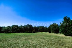 IMG20240530101604_result